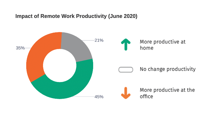 US Employee Survey on Productivity