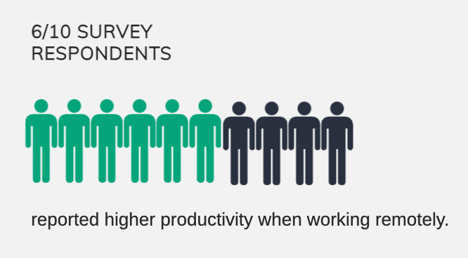 US Employee Survey on Productivity